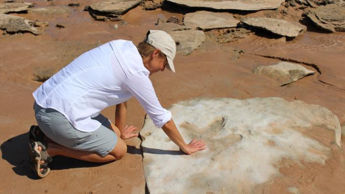 WA Museum curator Jessica Brainard with her palm on the footprint of a therapod
